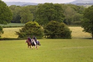 Horse Riding at Tipton