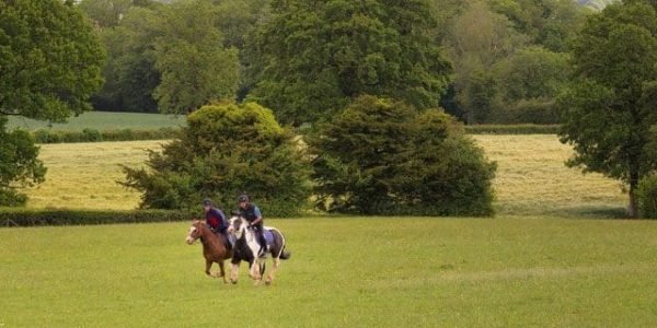 Horse Riding at Tipton